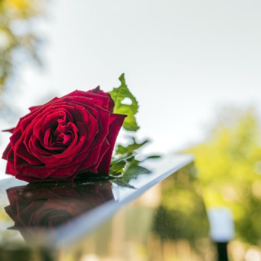 Gravestone with withered red rose during summer day/ Tombstone on graveyard / Sorrow about loss of beloved ones (Gravestone with withered red rose during summer day/ Tombstone on graveyard / Sorrow about loss of beloved ones, ASCII, 112 components, 11